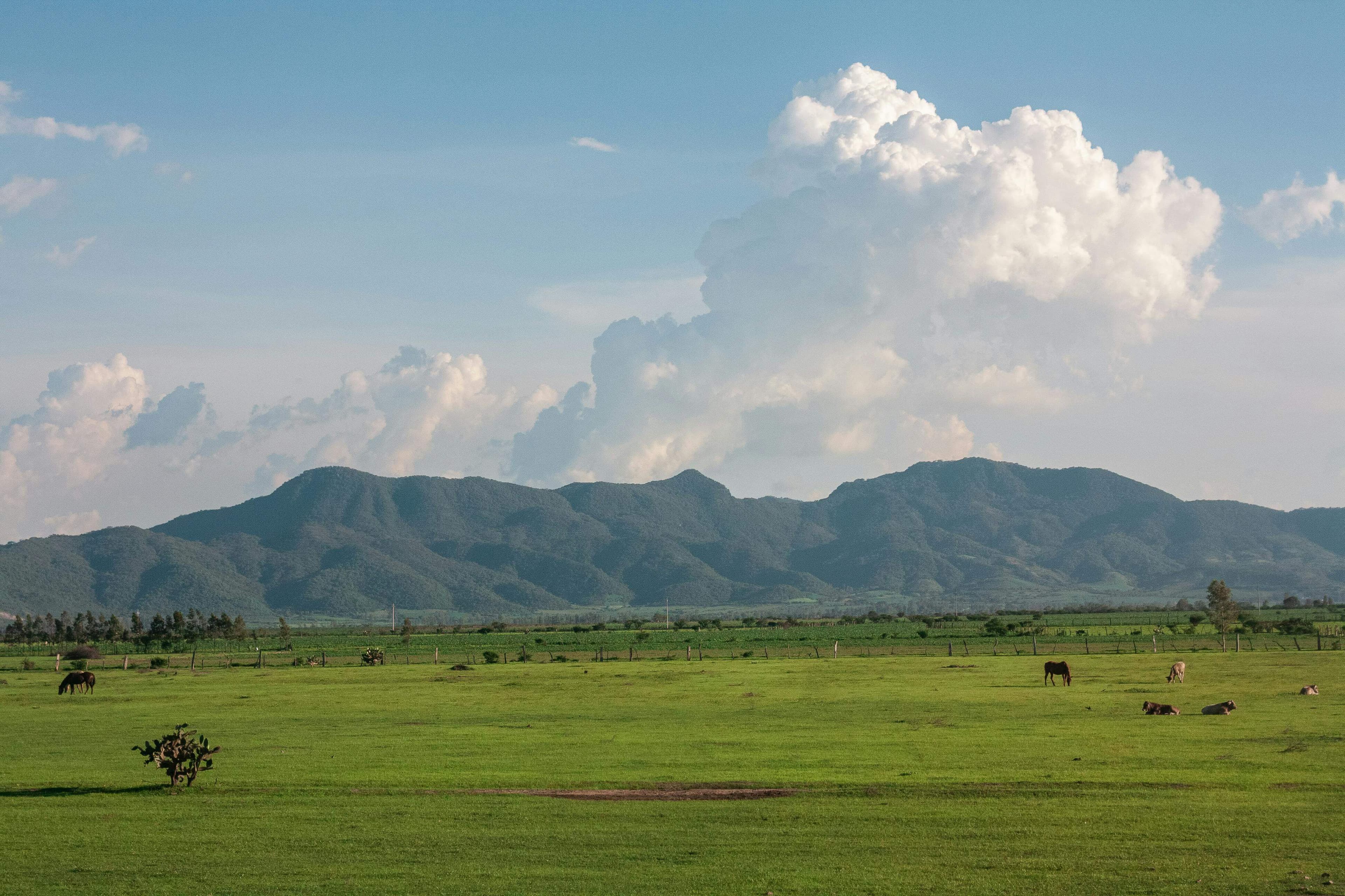 Natural landscape with mountains