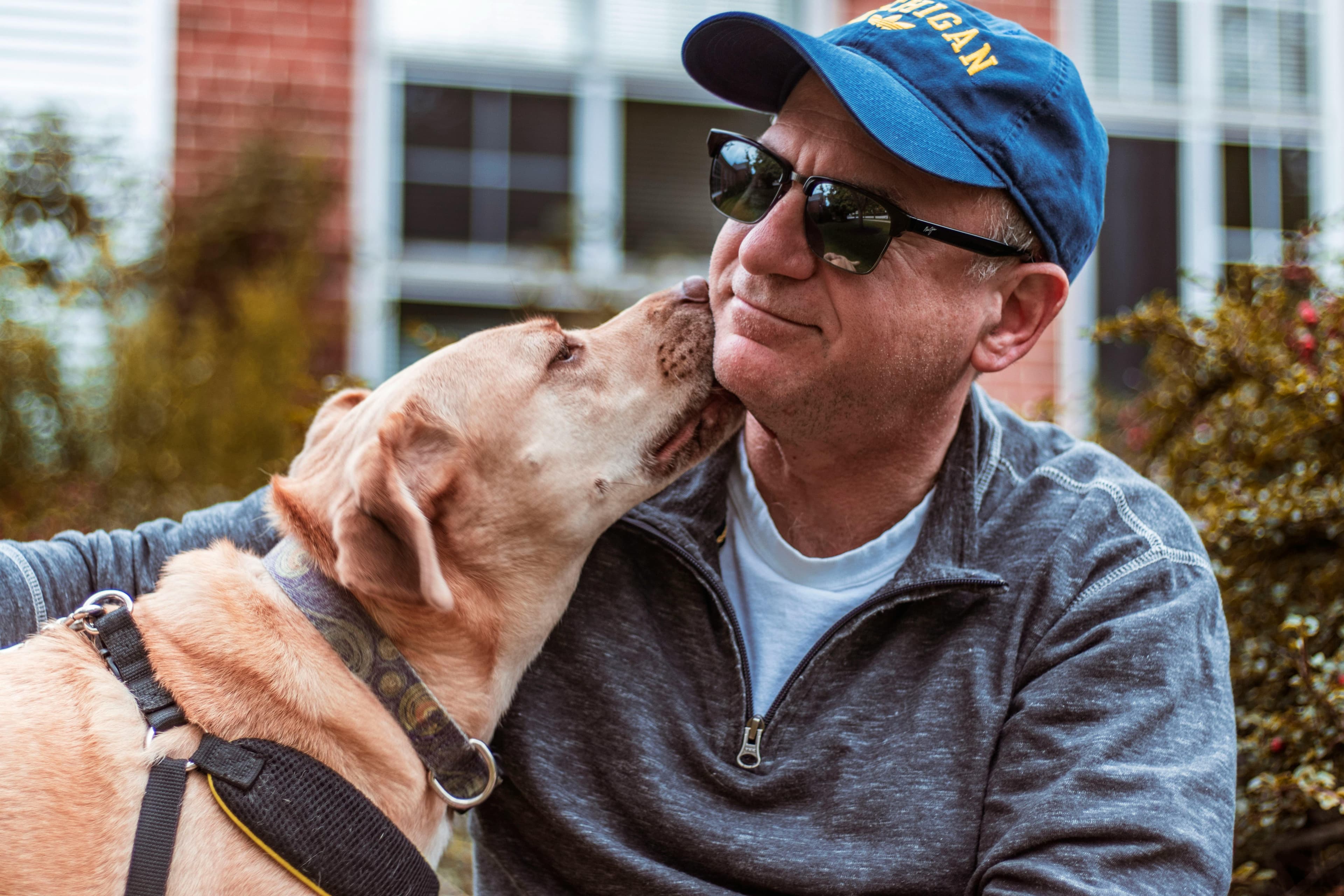 How do pet diets affect long-term health?