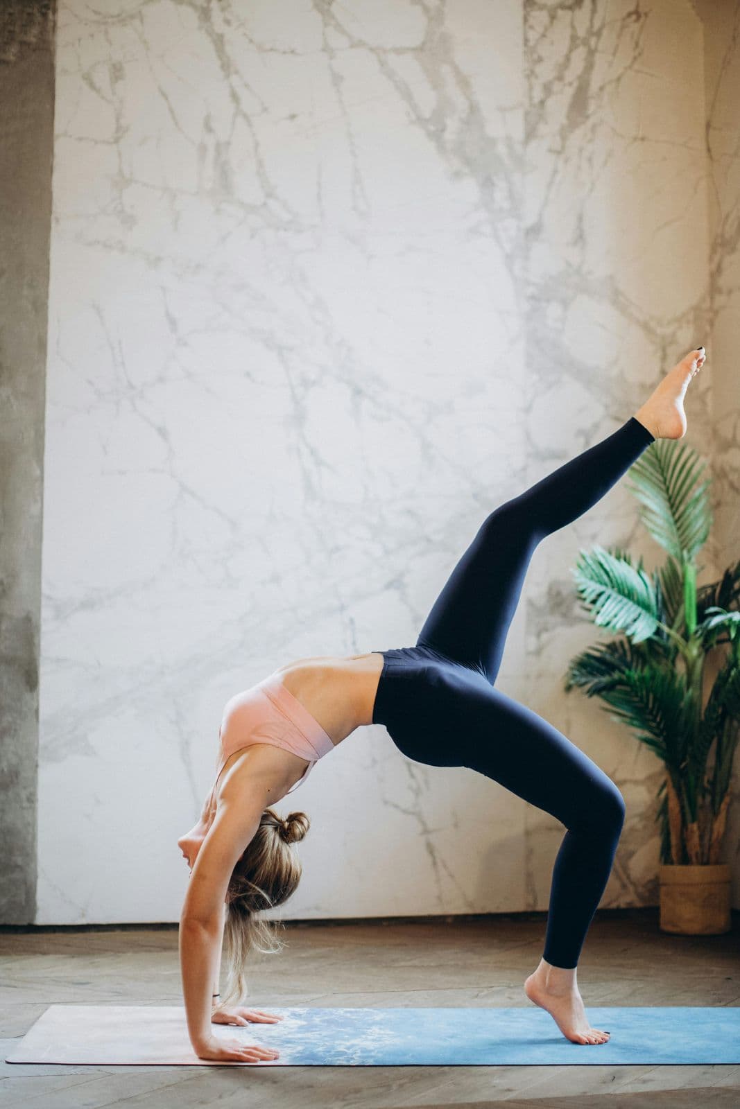 Wellness